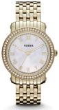 Fossil Women's ES3113 Stainless Steel Analog Mother-of-Pearl Dial Watch