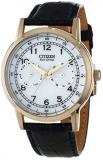 Citizen Men's Gold Tone Stainless Steel Case White Dial Day and Date Display Leather Strap AO9003-16A