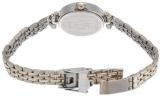 Titan Women's 2521BM01 Contemporary Silver Metal Strap Watch