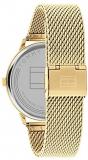 Tommy Hilfiger Men's Quartz Watch with Stainless Steel Strap, Gold, 21 (Model: 1791877)
