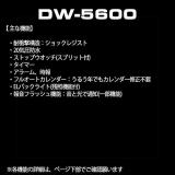 Casio G-Shock DW5600E-1