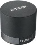 Citizen Men's Quartz Staineless Steel Watch with Day/Date, AG8304-51E