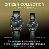 Citizen Watch BJ6486-20E Collection Eco-Drive Men's Pair Limited Edition Shipped from Japan Nov 2022 Model