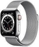 Apple Watch Series 6 40mm GPS + Cellular Silver Stainless Steel - Silver Milanes...