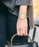 Tommy Hilfiger Women's Quartz Stainless Steel and Mesh Bracelet Watch, Color: Light Carnation Gold (Model: 1782431)