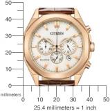 Citizen Eco-Drive Chronograph Ivory White Dial Men's Watch CA4593-15A