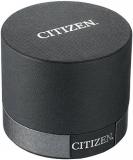 Citizen BF2013-56P, Bracelet Type