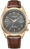 Citizen Perpetual World Time GMT Eco-Drive Grey Dial Men's Watch CB0273-11H