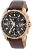 Citizen Perpetual Alarm World Time Eco-Drive GMT Black Dial Men's Watch AT9123-1...
