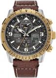 Citizen Eco-Drive Promaster Skyhawk A-T Grey Dial and Brown Leather Strap Watch ...