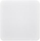 Apple Polishing Cloth