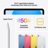 Apple 2022 iPad (10.9-inch, Wi-Fi + Cellular, 256GB) - Pink (Renewed)