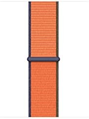 Apple Watch Sport Loop (40mm) - Kumquat - Regular